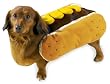 Casual Canine Polyester Hot Diggity Dog Costume, Small, Mustard