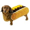 Casual Canine Hot Diggity Dog Costume Sm Mustard