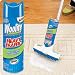 Kitchen & Housewares : Bissell 850B Woolite Rug Stick