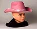 Adult Womens Pink Sequin Trim Cowboy Hat with Hatband