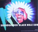 Black Hole Sun