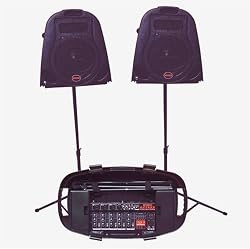 Nady ACCESS PSS-150 Transportable 150 Watt Five Channel Mixer with Effects, Mic and Cable