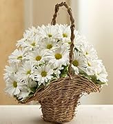 Floral Flowers - Basket Full of Daisies - Small