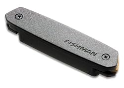Fishman Neo-D Passive Soundhole Pickup - Humbucker