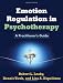 Image of Emotion Regulation in Psychotherapy: A Practitioner's Guide