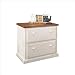 Kathy Ireland Home by Martin Furniture Southampton 2 Drawer Lateral Wood File Storage in Distressed Oyster
