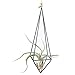 Rustic Style Freestanding Hanging Metal Tillandsia Air Plant Rack Holder Black 10 inches Height Quadrilateral Pyramid Shape Geometric