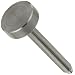 Plain 300 Stainless Steel Stainless Steel Knurled Head Adjusting Screw