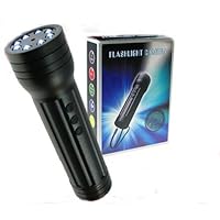 Flashlight Digital Video Camera DVR Mini Hidden LED