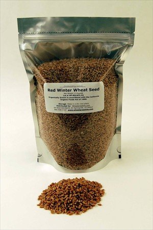 2.5 Lbs -Certified Organic Hard Red Wheat Seed - Plant & Grow Wheatgrass, Grind to... by Living Whole Foods