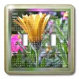 Beverly Turner Calendar Photography - Yellow Gerber Daisy 2012 Calendar - Light Switch Covers - double toggle switch