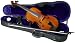 Bestler 15" Viola Outfit