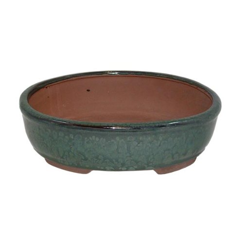 21cm Green Oval Glazed Bonsai Pot