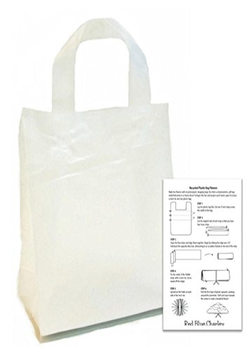 amazon clear bag 12x6x12