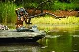 Small Brass Mermaid Fountain (21