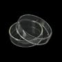 Petri Dish - 60mm Glass