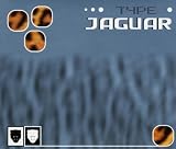Jaguar thumbnail