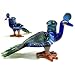 Peacock Handblown Glass Salt and Pepper Shaker Set
