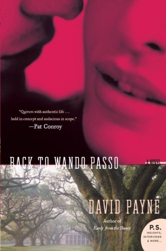 Back to Wando Passo: A Novel