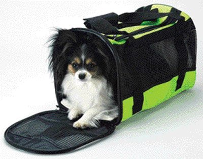 Ethical Small Carryall Pet Bag - Blue