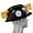 Pittsburgh Steelers