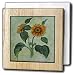 Sunflowers - sunflower, tournesols, still life, helianthus annuus, flowers, flower, petals - 6 Inch Tile Napkin Holder