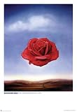 Salvador Dali  Art Poster Print   40x55