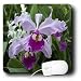 Flowers - Orchid - Mouse Pads Image