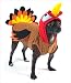 Turkey Costume for Dogs