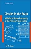 Circuits in the Brain: A Model of Shape Processing in the Primary Visual Cortex