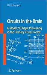Circuits in the Brain: A Model of Shape Processing in the Primary Visual Cortex