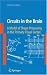 Circuits in the Brain: A Model of Shape Processing in the Primary Visual Cortex