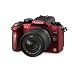 Panasonic Lumix DMC-G2KEG-R Systemkamera (12 Megapixel, LiveView) Geh�use rot inkl. Lumix G Vario Objektiv (14-42 mm)