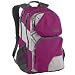 Sporting Goods : Trans by JanSport Connection Backpack - Plum Violet