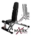 XMark Flat, Incline, and Decline and Ab Combo Adjustable Weight Bench, 7 Positions with Full Decline for Military Press, Dual Rail, 11-Gauge Steel Mainframe, 6-Position Seat, and Adjustable Leg Holder