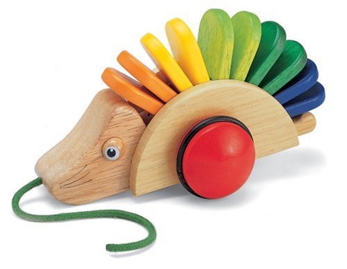 Childrens Toyshop  Toys : Pintoy Pullalong Hedgehog