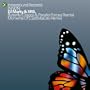 Butterfly (Craggz & Parallel Forces Remix)