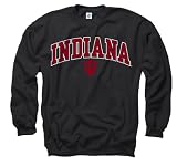 Indiana Hoosiers Youth Black Perennial II Crewneck Sweatshirt