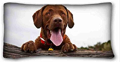 Custom ( Animals dog friend view ) Pillowcase Cushion Cover Design Standard Size 20x36 inches One Sides suitable for Twin-bed PC-White-15711