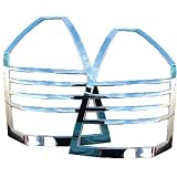 2004-2007 Chrysler 300 300C Chrome Tail Light Trim 