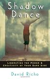 cover of Shadow Dance