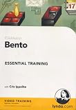 FileMaker Bento Essential (PC DVD)