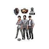 Fathead Jonas Brothers Wall Decal