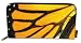 Accordian Wallet - Monarch; Polyester and Vinyl Fabric
