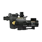 Jandy Stealth High Efficiency 1 HP 115/230V Up-rated Pump