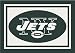 New York Jets 7' 8" x 10' 9" Team Spirit Area Rug