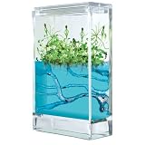 Galactic Garden Ant Colony