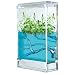 Search : Galactic Garden Ant Colony