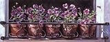 Five Window Pots Art Print Poster By Mark Lee Goldberg, 20 