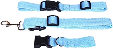 OALY Pets Dog Leash Hands Free Great for Biking Running Jogging and Walking Blue